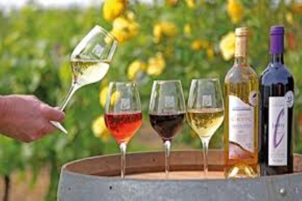Le Mas De Doat, Gite De Charme 4 Etoiles Dans Le Triangle D Or Proche Gaillac Et Albi Senouillac Kültér fotó